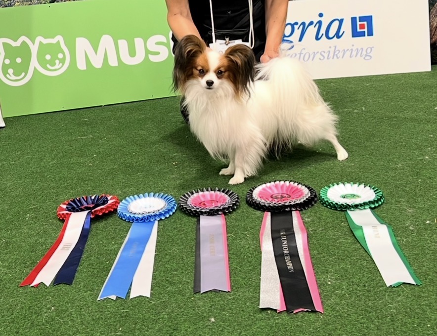 NO JR-CHAMPION Cookie Margenis